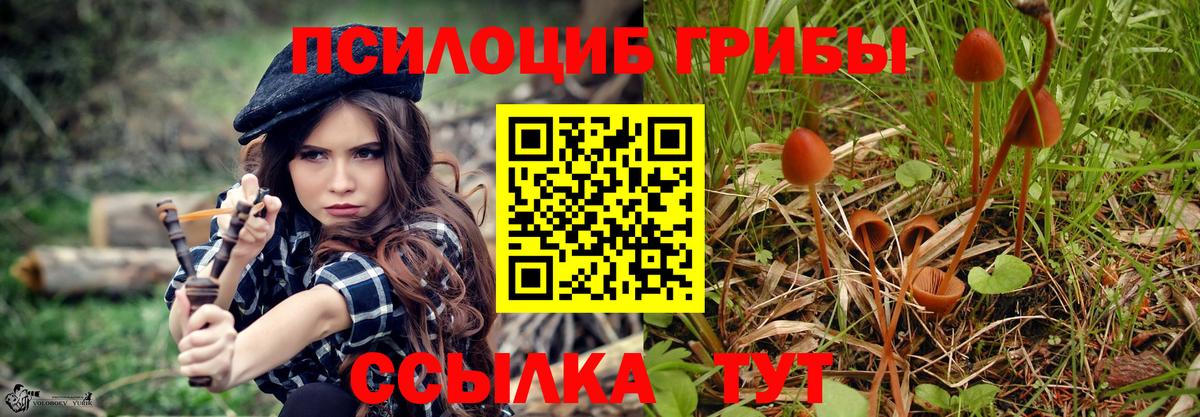 даркнет сайт  Галлюциногенные грибы MAGIC MUSHROOMS  Вход с VPN  Псилоцибиновые грибы прущие грибы  Коммунар 