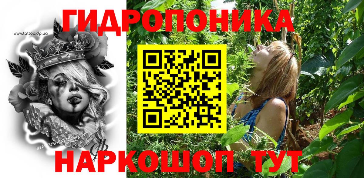 Коммунар  МАРИХУАНА Bruce Banner  Вход с VPN  Канабис OG Kush  Бошки марихуана OG Kush 